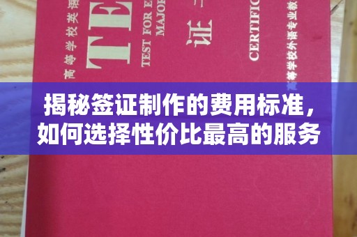 狮子山揭秘签证制作的费用标准，如何选择性价比最高的服务？