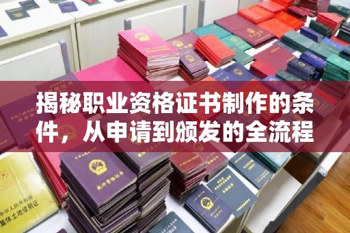狮子山揭秘职业资格证书制作的条件，从申请到颁发的全流程解析
