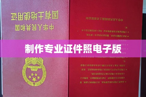 狮子山制作专业证件照电子版