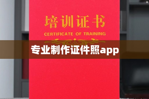 狮子山专业制作证件照app