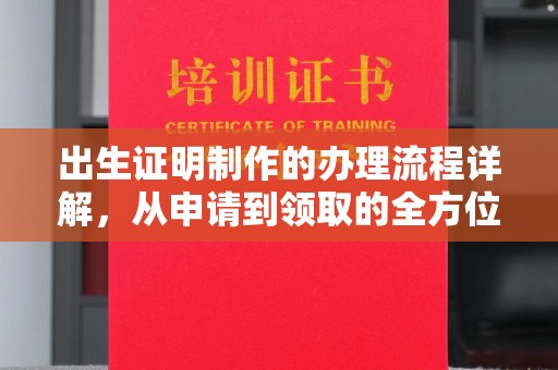 狮子山出生证明制作的办理流程详解，从申请到领取的全方位指南